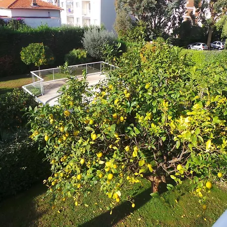 Appartement Spacious 3 Bedroom Flat Near City Centre And Beaches Antibes